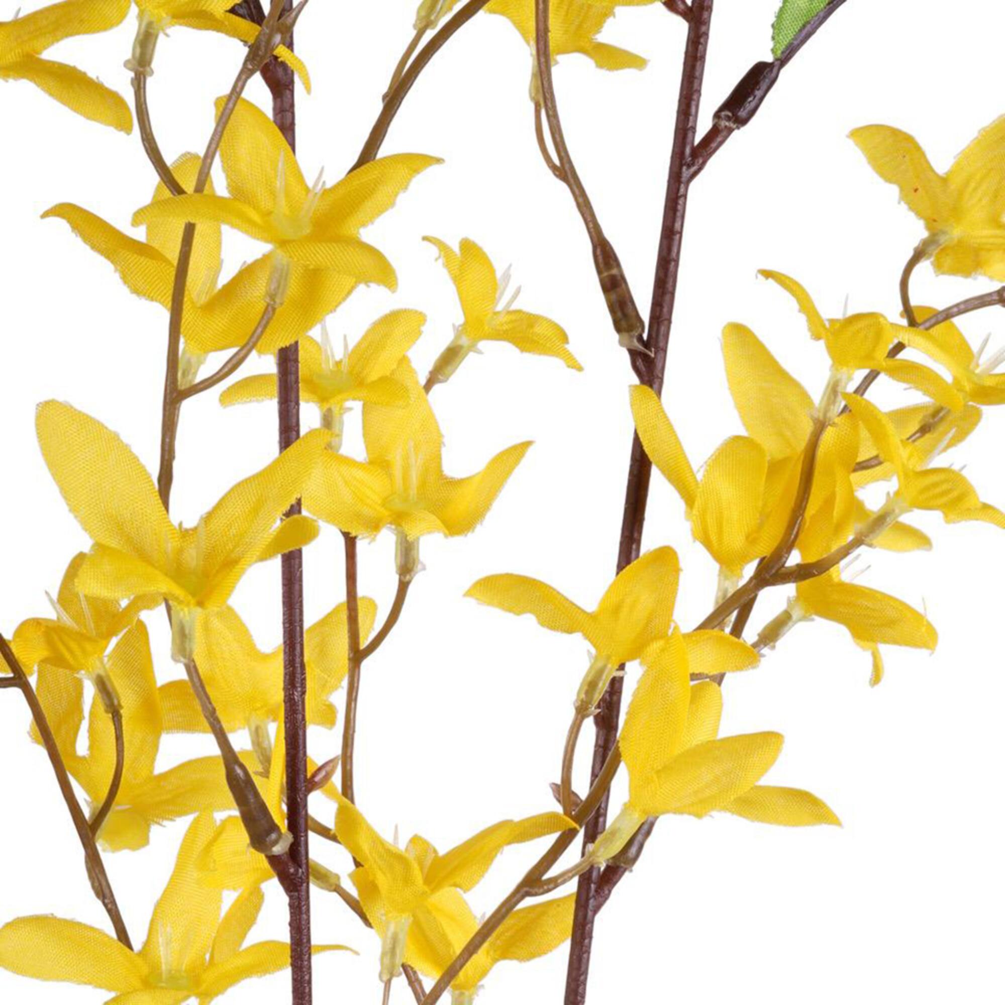12 Pack: 34" Yellow Forsythia Stem by Ashland®